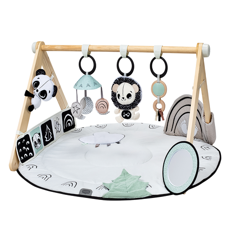 Soft Developmental Play Mat