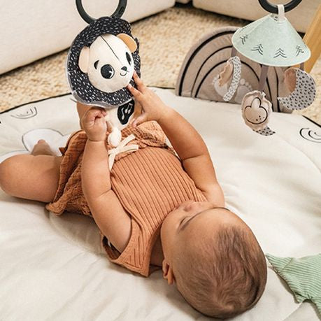Soft Developmental Play Mat